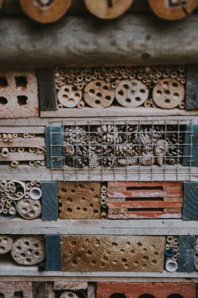 bug hotel