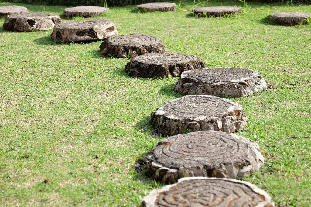 Garden stepping stones made with wood and concrete