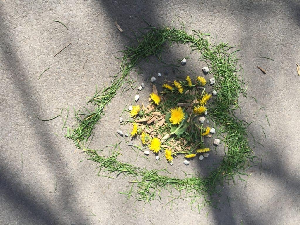 playful learning with dandelions