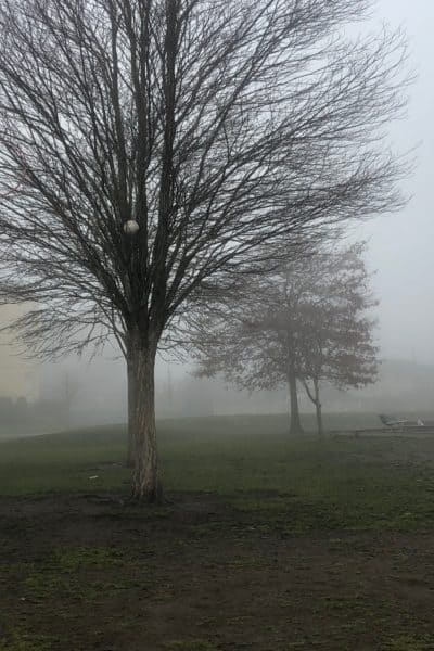 fog play