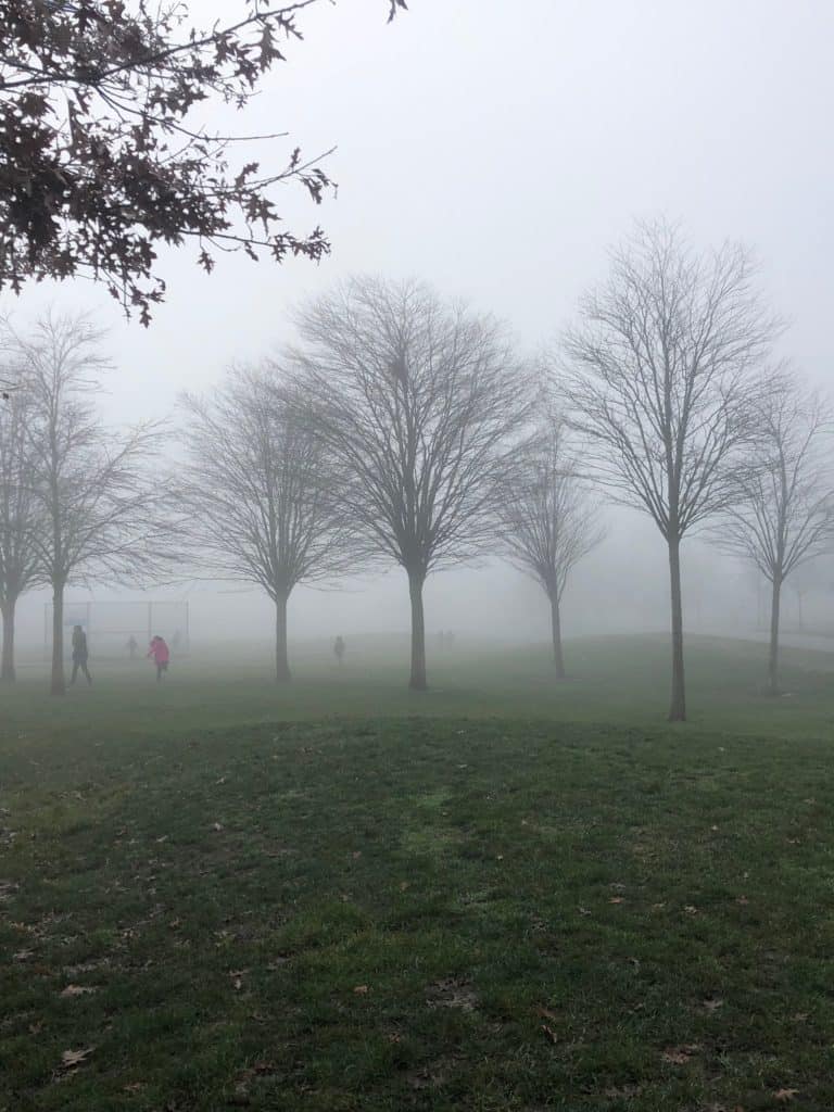 risky play in fog