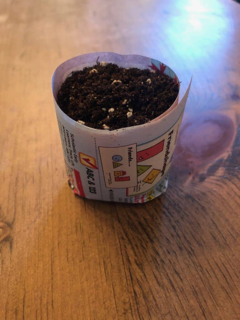 How to roll a paper seed pot