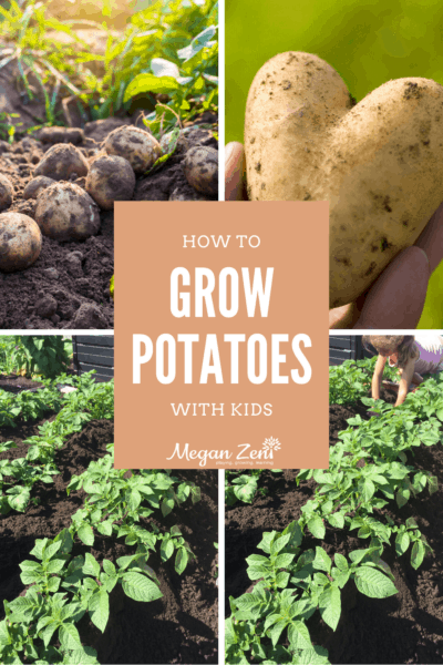 how to grow potatoes with kids