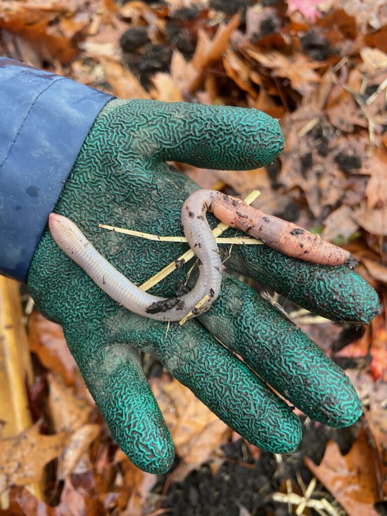 teaching outdoors