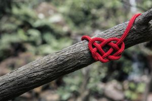 Valentine's Day heart knot